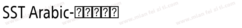SST Arabic字体转换